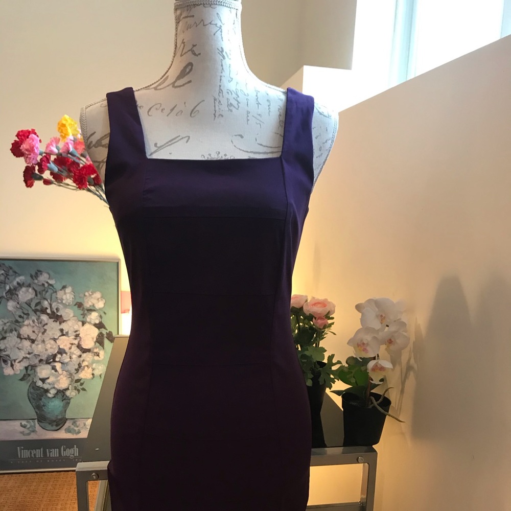 BNWT Rickis dress